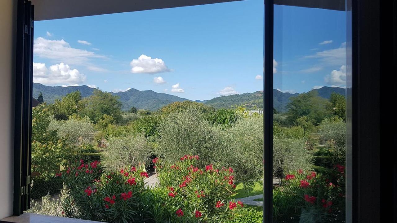Salvia E Rosmarino - Affittacamere In Liguria 维拉诺瓦达尔本加 外观 照片