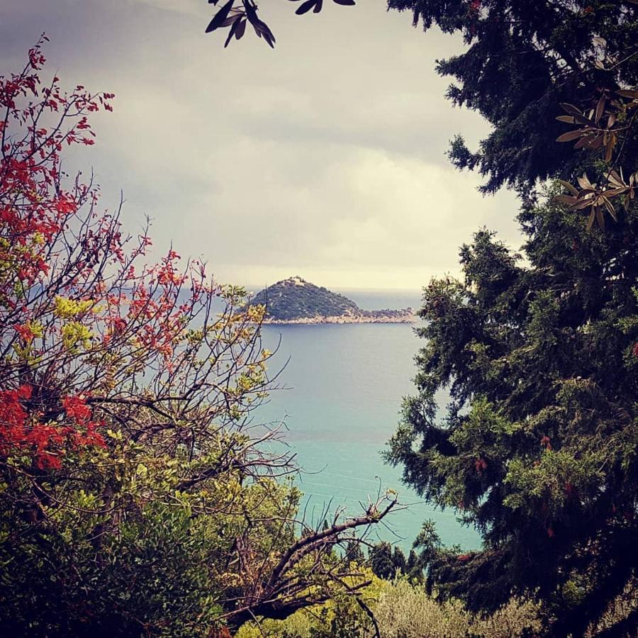 Salvia E Rosmarino - Affittacamere In Liguria 维拉诺瓦达尔本加 外观 照片