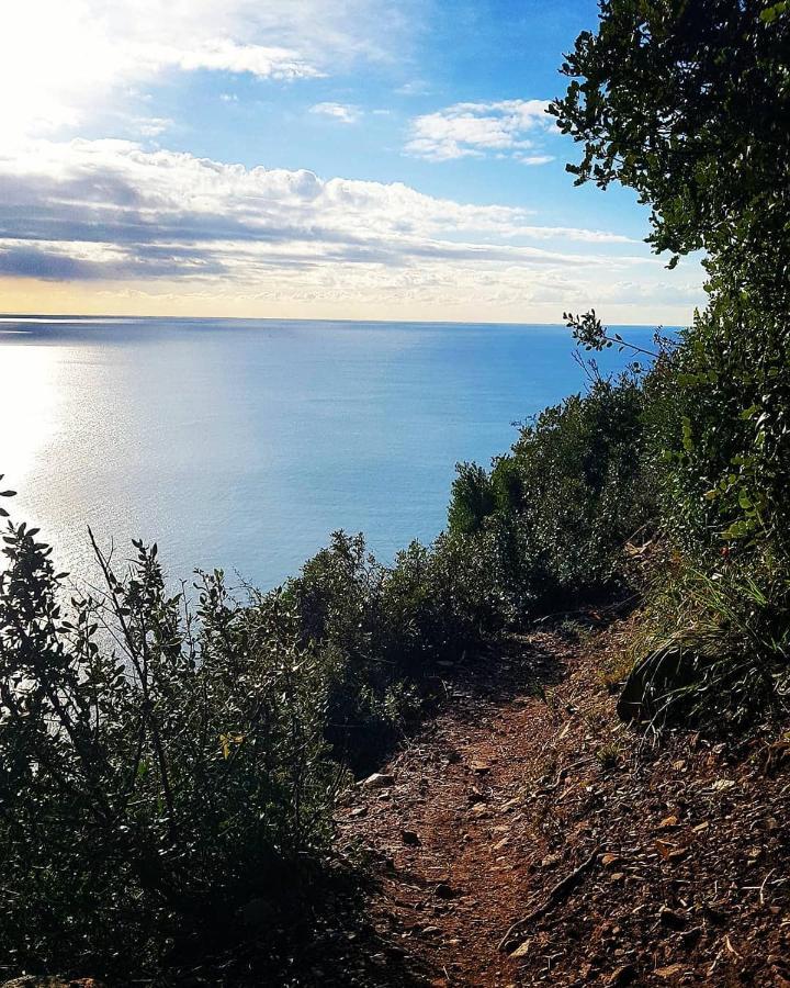 Salvia E Rosmarino - Affittacamere In Liguria 维拉诺瓦达尔本加 外观 照片