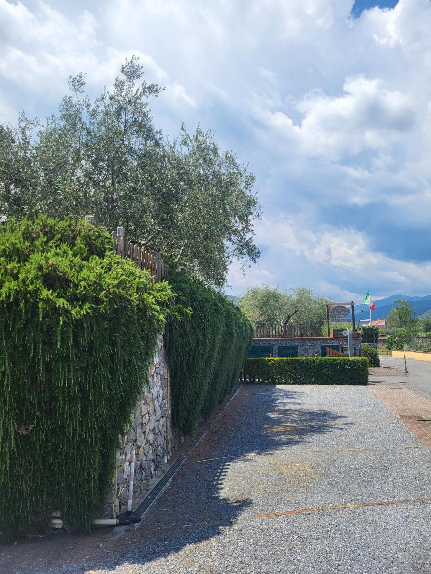 Salvia E Rosmarino - Affittacamere In Liguria 维拉诺瓦达尔本加 外观 照片