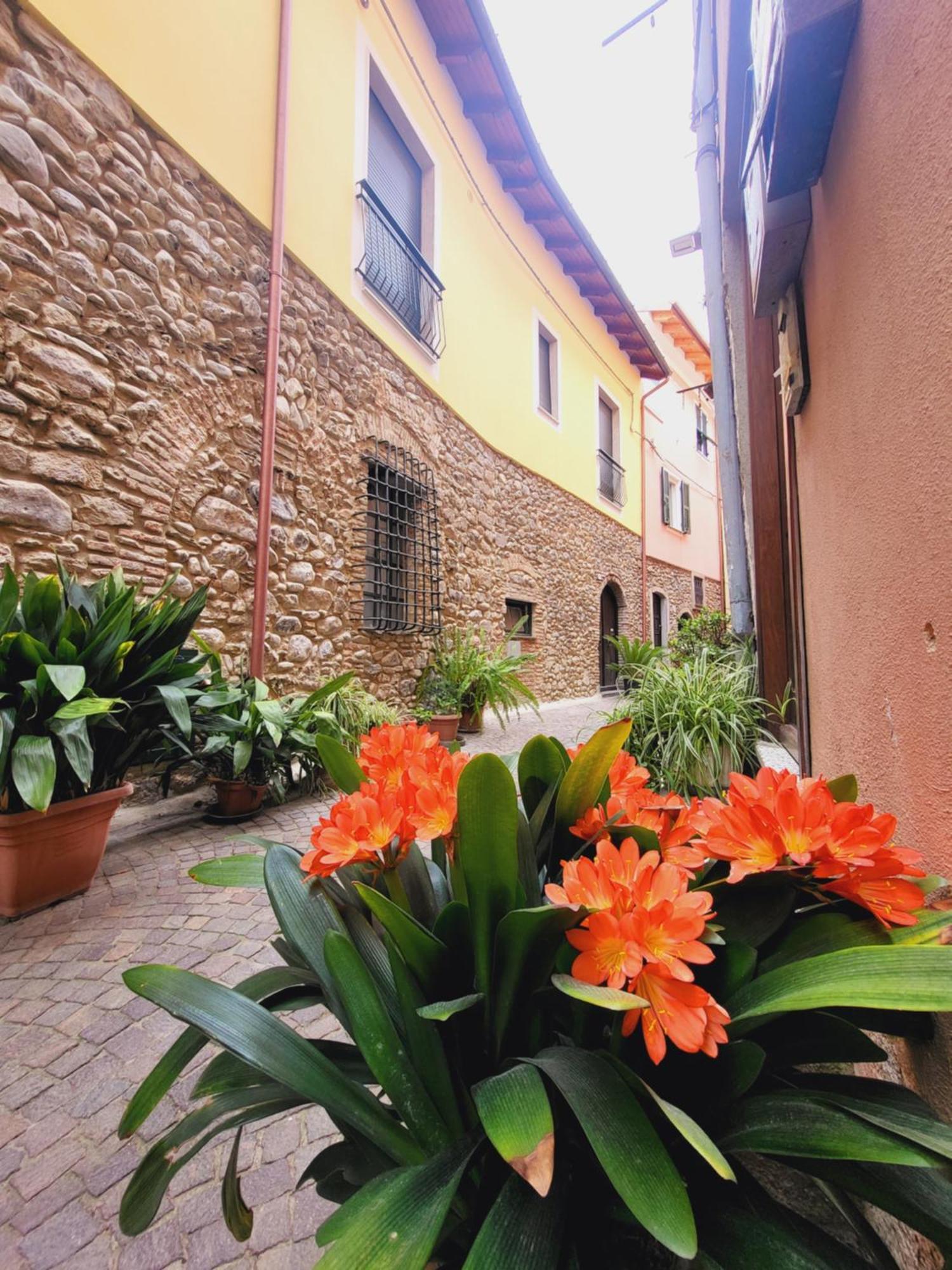 Salvia E Rosmarino - Affittacamere In Liguria 维拉诺瓦达尔本加 外观 照片