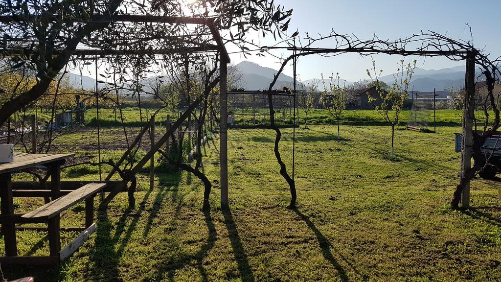 Salvia E Rosmarino - Affittacamere In Liguria 维拉诺瓦达尔本加 外观 照片