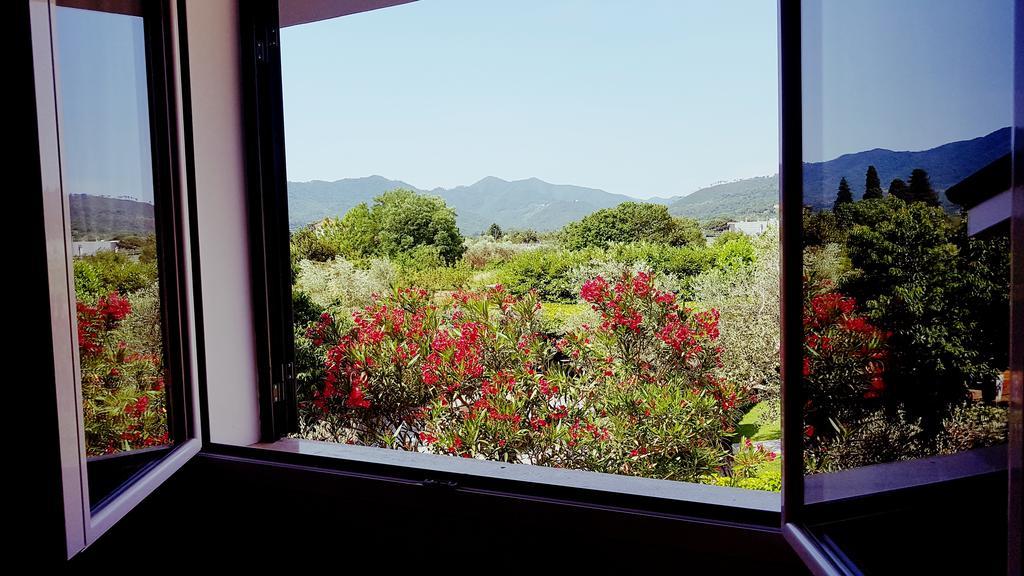 Salvia E Rosmarino - Affittacamere In Liguria 维拉诺瓦达尔本加 外观 照片